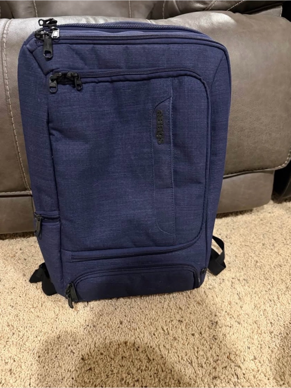 EBags Professional Slim Laptop Backpack